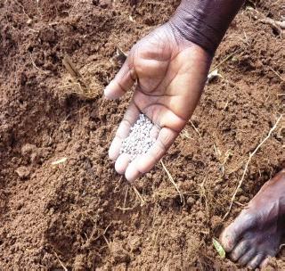 Sales of counterfeit fertilizers in Vidarbha and Khand | विदर्भ, खान्देशात बनावट खताची विक्री