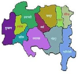 Finish the confusion about Vidarbha | विदर्भाबाबतचा गोंधळ संपवा Finish the confusion about Vidarbha | विदर्भाबाबतचा गोंधळ संपवा