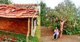 Rain and storm swept away | पाऊस व वादळाने झोडपले Rain and storm swept away | पाऊस व वादळाने झोडपले