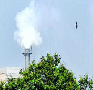 Environmental thrust of the city scare | शहरांनी घोटला पर्यावरणाचा गळा Environmental thrust of the city scare | शहरांनी घोटला पर्यावरणाचा गळा