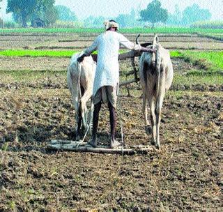 70 acres of farming under 'Swabhimaan' | ‘स्वाभिमान’ अंतर्गत ७0 एकर शेती वाटप 70 acres of farming under 'Swabhimaan' | ‘स्वाभिमान’ अंतर्गत ७0 एकर शेती वाटप