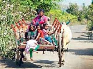 The joy of living ... | जगण्यातील आनंद...