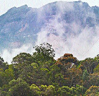 Earthquake killed 11 climbers in Malaysia | भूकंपाने मलेशियात ११ गिर्यारोहक ठार Earthquake killed 11 climbers in Malaysia | भूकंपाने मलेशियात ११ गिर्यारोहक ठार
