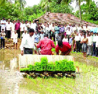 Thane district ready for cultivation of rice by machine | यंत्राद्वारे भात लागवडीसाठी ठाणे जिल्हा सज्ज