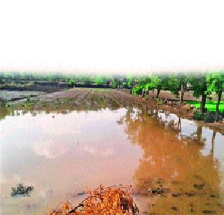 वादळी पावसाचा पिकांना फटका