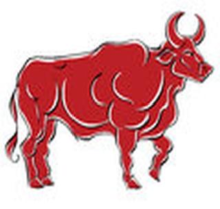 Farmer injured in bull attack | वळूच्या हल्ल्यात शेतकरी जखमी Farmer injured in bull attack | वळूच्या हल्ल्यात शेतकरी जखमी