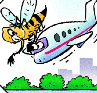 Honeybeat plane landed | मधमाशीने विमान आणले जमिनीवर Honeybeat plane landed | मधमाशीने विमान आणले जमिनीवर