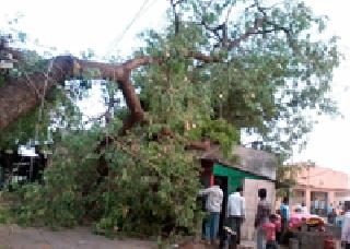 Storm of Ner taluka | नेर तालुक्याला वादळाचा तडाखा Storm of Ner taluka | नेर तालुक्याला वादळाचा तडाखा