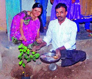Celebrate the first wedding anniversary by planting it | लग्नाच्या पहिला वाढदिवस वृक्षारोपण करून केला साजरा Celebrate the first wedding anniversary by planting it | लग्नाच्या पहिला वाढदिवस वृक्षारोपण करून केला साजरा