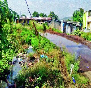 On the sewerage road in Ursa village | उर्से गावठाणात सांडपाणी रस्त्यावर