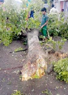 Storm hit at Hinganghat, Samudrapur taluka | हिंगणघाट, समुद्रपूर तालुक्याला वादळाचा फटका