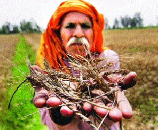 Kharif crop crashed in trouble! | खरीप पीककर्जे आली संकटात!