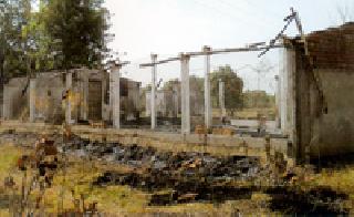 In the fire burnt the poultryfarm shed | आगीत पोल्ट्रीफार्म शेड जळाले
