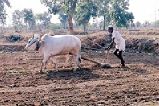 Farmers involved in the cultivation | बळीराजा गुंतला मशागतीच्या कामाला