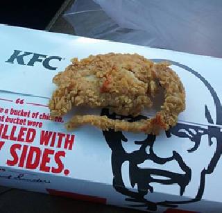 Oops ... KFC replaces fry chicken instead of fry mice? | अरेरे... केएफसीने फ्राय चिकनऐवजी दिले फ्राय उंदीर ?