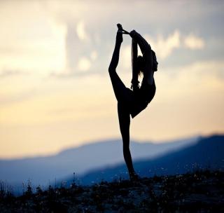 Yoga demonstration now in government office | शासकीय कार्यालयातही आता योगाचे प्रात्यक्षिक