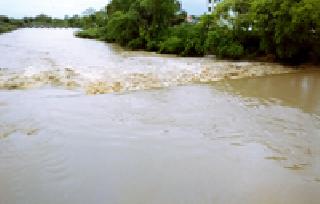 Nirguda Phugali: | निर्गुडा फुगली : Nirguda Phugali: | निर्गुडा फुगली :