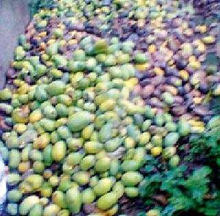 Change the level of farm compensation compensation | शेतीच्या नुकसानभरपाईचा मापदंडच बदलवावा