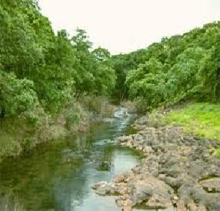 Sanjay Gandhi National Park's threat to forest land | संजय गांधी राष्ट्रीय उद्यानातील वनसंपत्ती धोक्यात