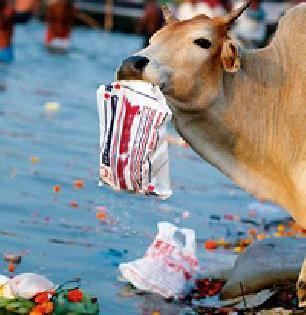 Polythene foam in the city | शहरात पॉलिथीनबंदीचा फज्जा Polythene foam in the city | शहरात पॉलिथीनबंदीचा फज्जा