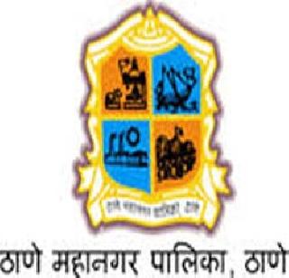 स्थानिक स्वराज्य संस्था निवडणुका स्वबळावर