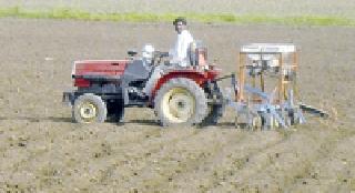 43% sowing in the district | जिल्ह्यात ४३ टक्केच पेरण्या 43% sowing in the district | जिल्ह्यात ४३ टक्केच पेरण्या