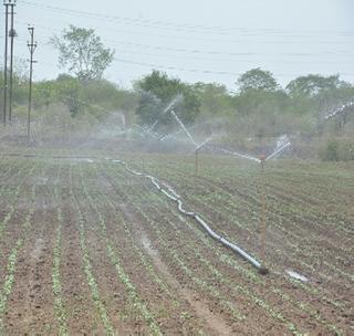 Agricultural University now has the basis for the protection of irrigation! | कृषी विद्यापीठाला आता संरक्षित सिंचनाचा आधार!