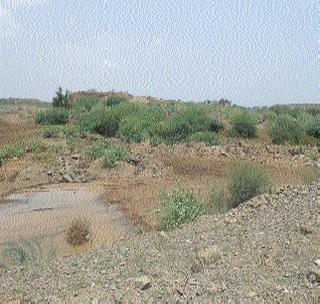 The complete up to 40 percent of the dam is completed | धरणाचे मातीकाम ४0 टक्केच पूर्ण The complete up to 40 percent of the dam is completed | धरणाचे मातीकाम ४0 टक्केच पूर्ण