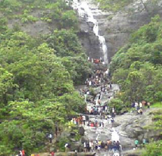 Two of Mumbai's bus falls in the Bhushi dam | मुंबईचे दोघे भुशी धरणात बुडाले