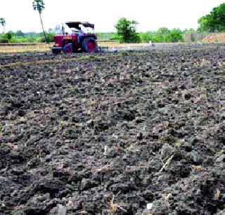 Kharif season hampered kharif season! | पावसाने दडी मारल्याने खरीप हंगाम धोक्यात!