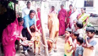 He celebrated the naming ceremony of the girl | त्यांनी साजरा केला कालवडीचा नामकरण सोहळा