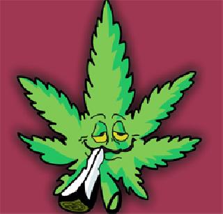 Raising ban on Ganja! | गांजावरील बंदी उठवा! Raising ban on Ganja! | गांजावरील बंदी उठवा!