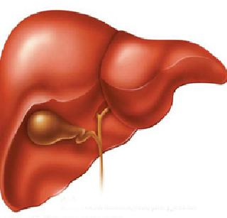 In Ambani hospital 100 liver transplants | अंबानी इस्पितळात १00 यकृत प्रत्यारोपणे