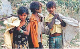 231 children out of school | २३१ मुले शाळाबाह्य