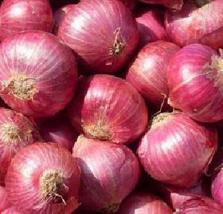 Selling onion market by bearing losses | नुकसान सहन करून कांदा बाजारात विक्री