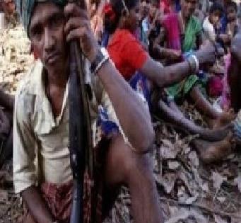 Surrender of nine naxalites with section commander | सेक्शन कमांडरसह नऊ नक्षल्यांचे आत्मसमर्पण