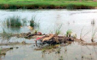 Waiting for clean breeze in the riverbank | वणा नदी पात्राला स्वच्छतेची प्रतीक्षा