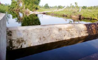 Convenience of irrigation: | बंधाऱ्याने झाली सिंचनाची सोय : Convenience of irrigation: | बंधाऱ्याने झाली सिंचनाची सोय :