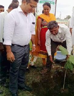 Plantation at Natala Rehabilitation ... | नटाळा पुनर्वसन येथे वृक्षारोपण... Plantation at Natala Rehabilitation ... | नटाळा पुनर्वसन येथे वृक्षारोपण...