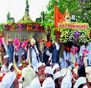 Tukoba Palikhi in Pandharpur taluka | तुकोबा पालखी पंढरपूर तालुक्यात