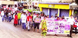 Prohibition of Kerala government's protests | केरळ सरकारचा प्राणिप्रेमींकडून निषेध Prohibition of Kerala government's protests | केरळ सरकारचा प्राणिप्रेमींकडून निषेध