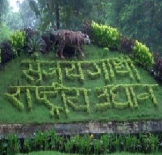 35 bishops found in Sanjay Gandhi National Park | संजय गांधी राष्ट्रीय उद्यानात सापडले ३५ बिबटे