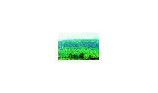 One crore for Brahmagiri | ब्रह्मगिरीसाठी एक कोटी One crore for Brahmagiri | ब्रह्मगिरीसाठी एक कोटी