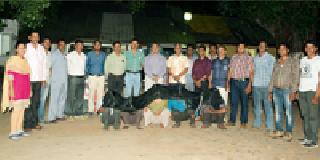 Thieves arrested in interstate gang | चोरट्यांच्या आंतरराज्यीय टोळीला अटक Thieves arrested in interstate gang | चोरट्यांच्या आंतरराज्यीय टोळीला अटक