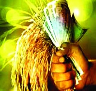 Crop Insurance Due to 'FAR' | पीक विमा मुदतवाढ ठरणार ‘फार्स’ Crop Insurance Due to 'FAR' | पीक विमा मुदतवाढ ठरणार ‘फार्स’