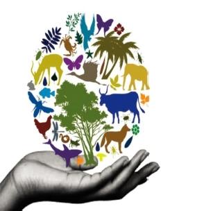 Green City Plan Now For Biodiversity | जैवविविधतेसाठी आता हरित शहर योजना