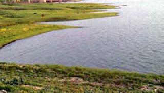 Release the water of the Wagholi Buti Lift Irrigation Scheme | वाघोली बुटी उपसा सिंचन योजनेचे पाणी सोडा Release the water of the Wagholi Buti Lift Irrigation Scheme | वाघोली बुटी उपसा सिंचन योजनेचे पाणी सोडा