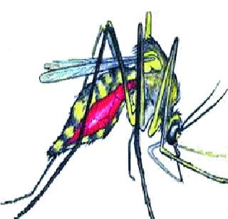 Mahad city declares dengue | महाड शहर डेंग्यूग्रस्त घोषित Mahad city declares dengue | महाड शहर डेंग्यूग्रस्त घोषित