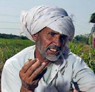 9 crore 86 lakh rupees distributed in the hailstorm | गारपीटचा ९ कोटी ८६ लाखांचा निधी वितरित 9 crore 86 lakh rupees distributed in the hailstorm | गारपीटचा ९ कोटी ८६ लाखांचा निधी वितरित