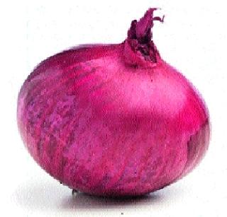 Onion is good; Reactions by 50 rupees ..! | कांदा खातोय भाव; प्रतिकिलो ५० रुपयाने विक्री..!